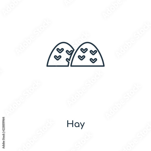 hay icon vector