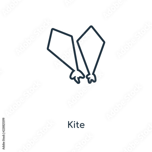 kite icon vector