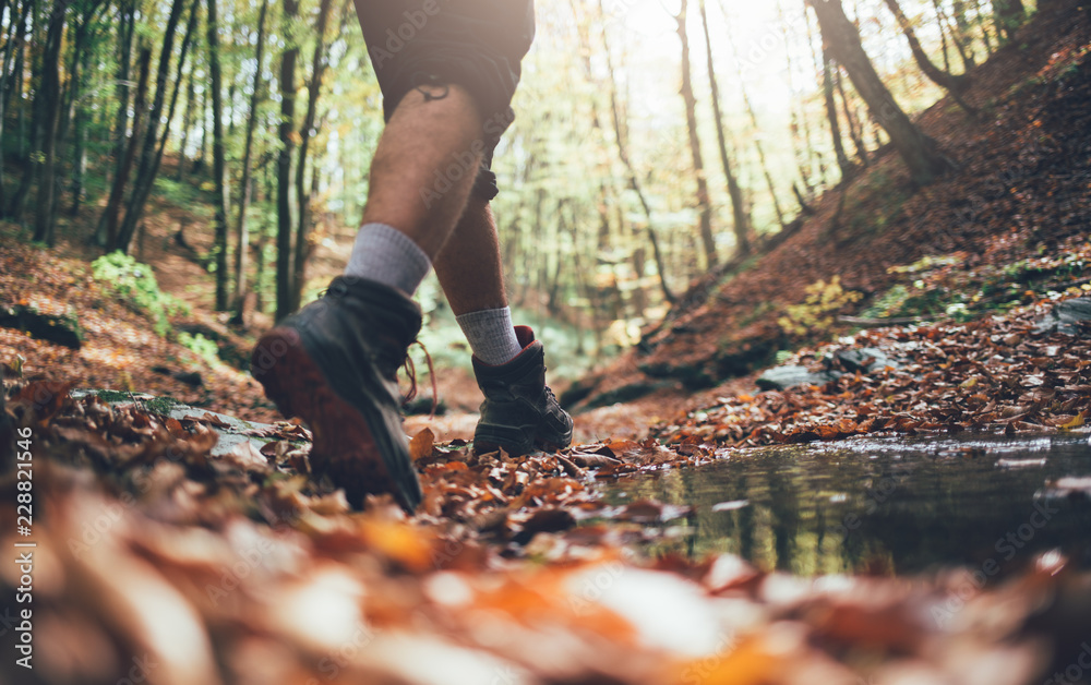 Close up of hiker legs in autumn forest Close up of hiker legs in autumn forest