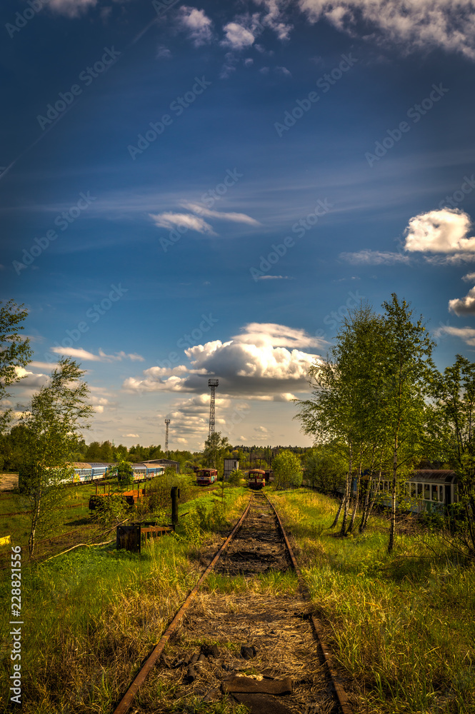 Old locomotives in train cemetery in the summer with green grass and trees in the background and great cloudy sky