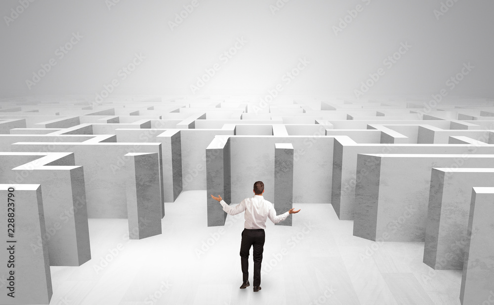 Obraz premium Businessman choosing between entrances in a middle of a maze 