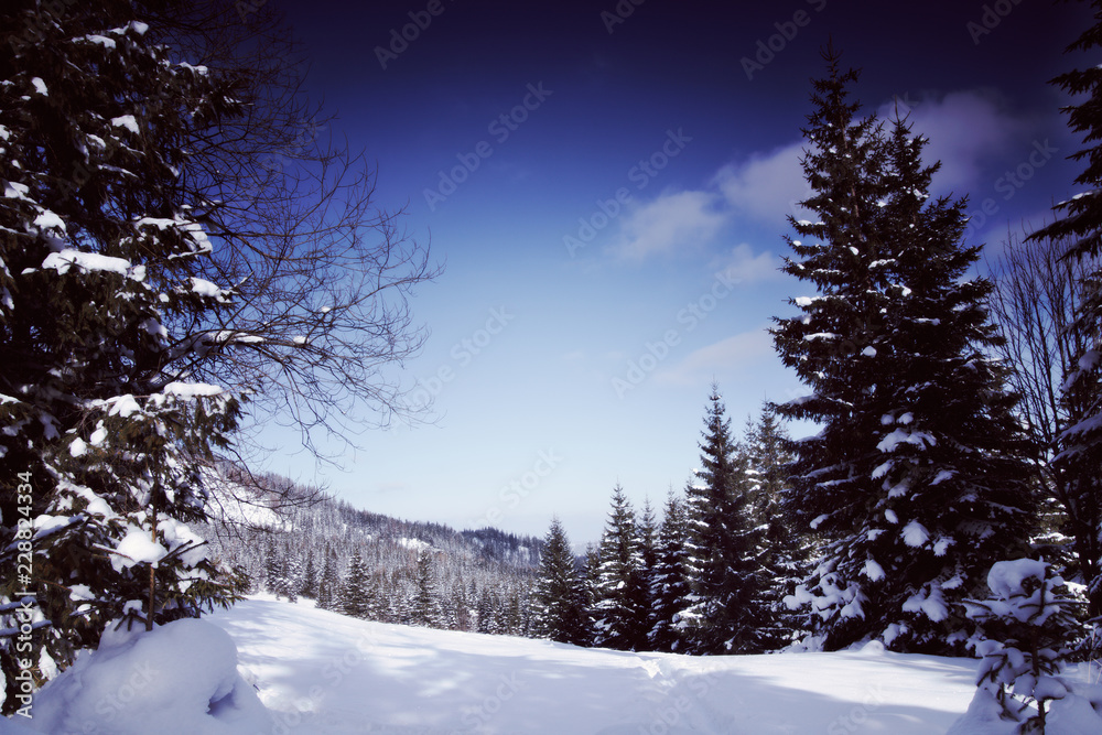 Obraz premium Snowy view in Tatra Mountains, winter landscapes series