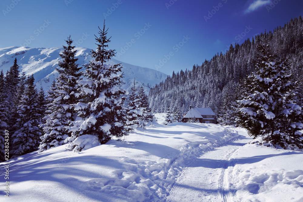 Snowy view in Tatra Mountains, winter landscapes series. Mountain hut in the background