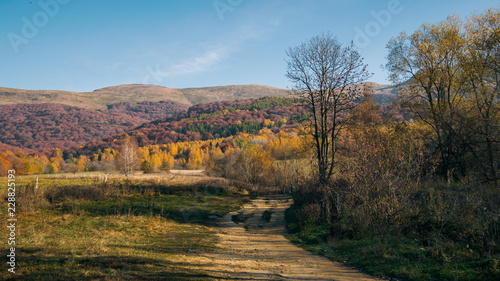 Bieszczady, Tarnica, jesień