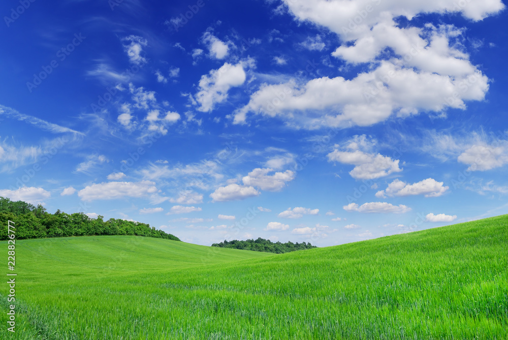 Idyll, view of green fields and blue sky with white clouds