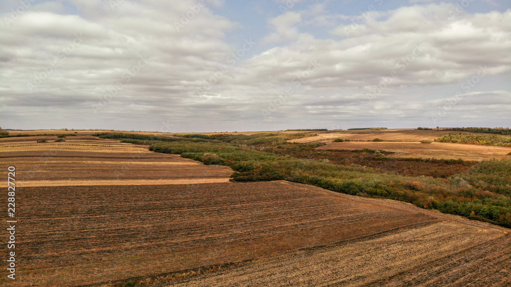 Aerial view of countryside in autumn with yellow fields and clouds in the background