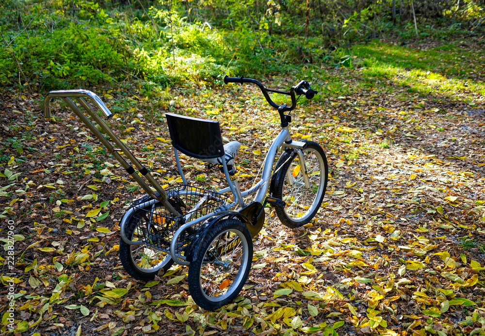 Gold metallic and black adult tricyclefor for children with disabilities cerebral palsy and children with disabilities with back and control for parents in the autumn yellow Park