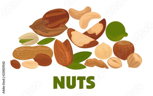 Delicious nutritious nuts advertisement banner with italic sign inside big circle isolated vector illustration