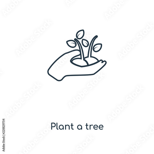plant a tree icon vector