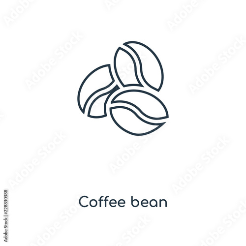 coffee bean icon vector
