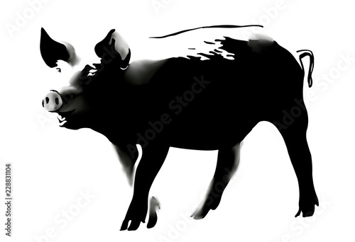 Tela Black&White sketch of pig. Hand drawn vector illustration
