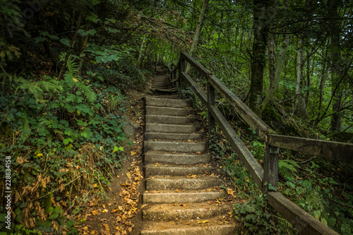 Steintreppe im Wald