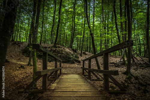 Brücke im Wald