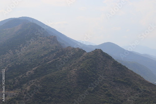 Mountains with green plants