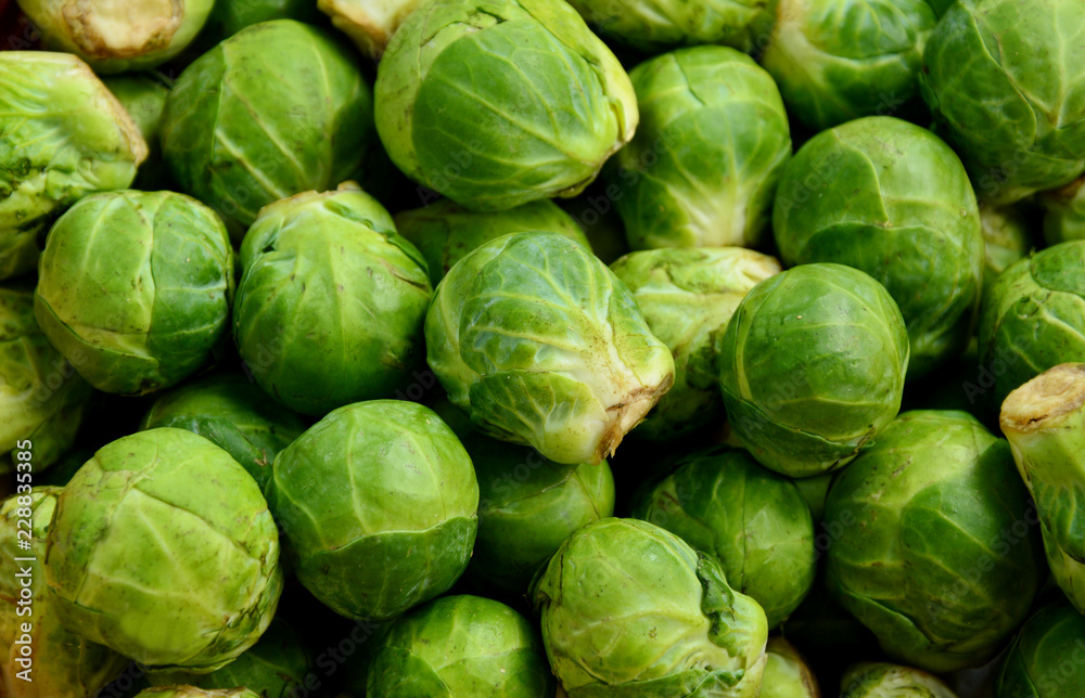 Many Brussels Sprouts with full frame.
Benefit of Brussels Sprouts. Many Brussels Sprouts with full frame.
Benefit of Brussels Sprouts.