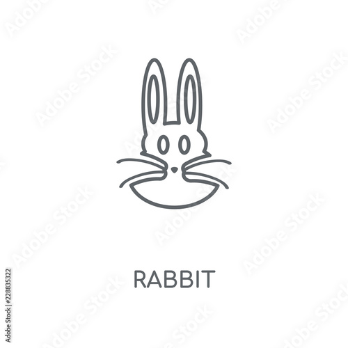 rabbit icon
