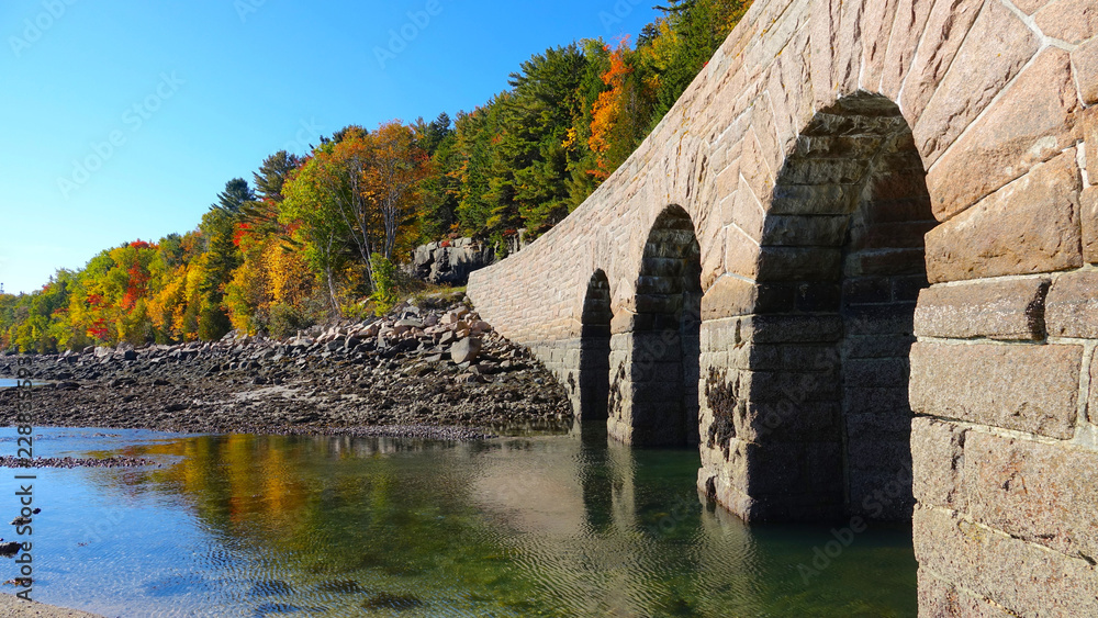 Fototapeta premium CLOSE UP: Calm water rippling under bridge leading towards the colorful forest.