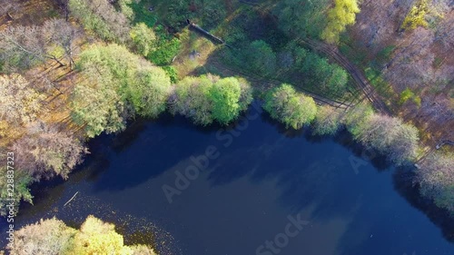 The surface of the lake in yellow leaves photo