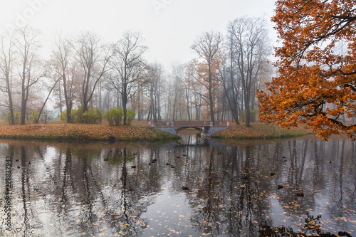 River, fog, autumn. Aleksandvsky Park in Pushkin, St. Petersburg,