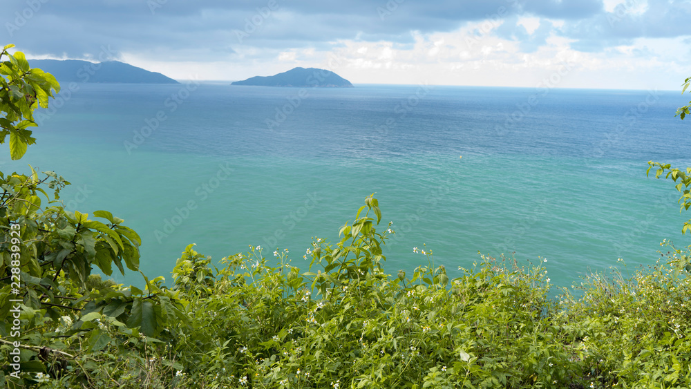 Nature on the island of the monkeys in Vietnam.