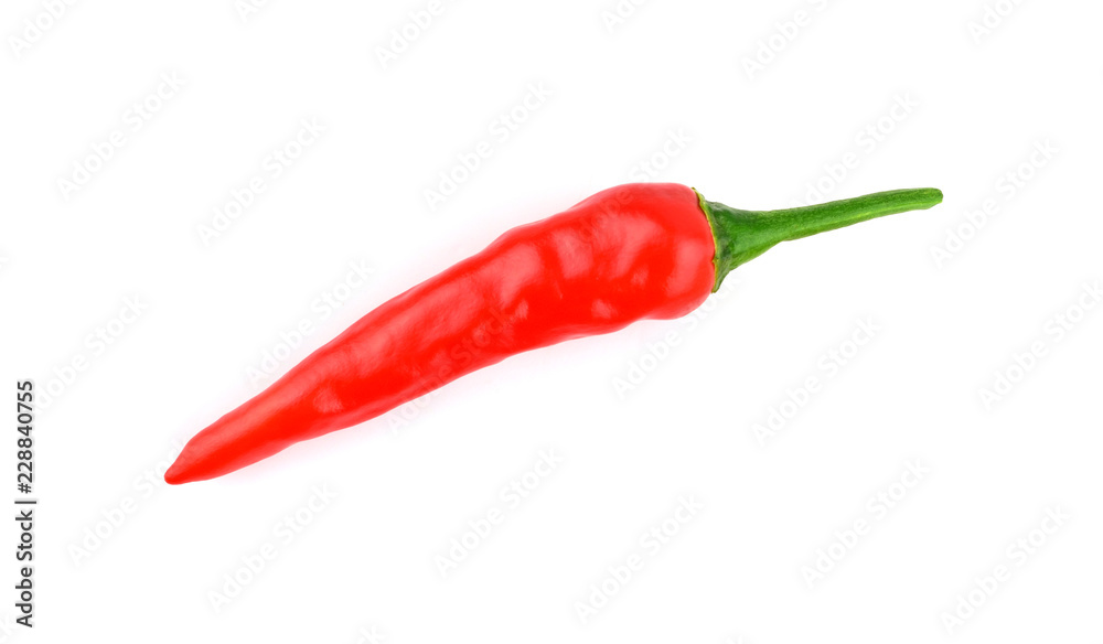 Isolated Red Hot Chili Pepper (Chilli, Chile).