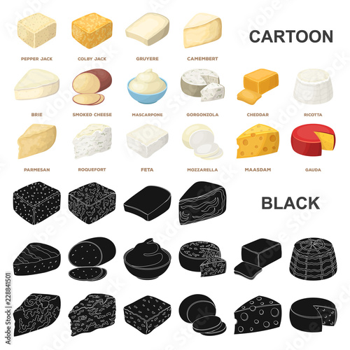 Different kind of cheese cartoon icons in set collection for design.Milk product cheese vector symbol stock web illustration.