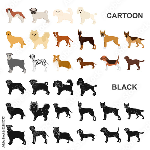 Dog breeds cartoon icons in set collection for design.Dog pet vector symbol stock web illustration.