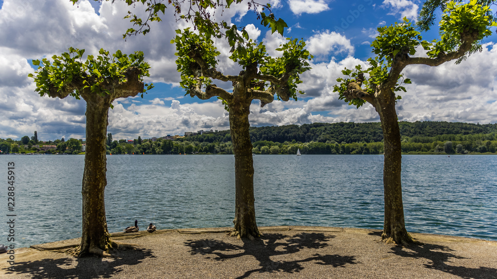 Beautiful view on the Mainau island - Bodensee - Bavaria - Germany Beautiful view on the Mainau island - Bodensee - Bavaria - Germany