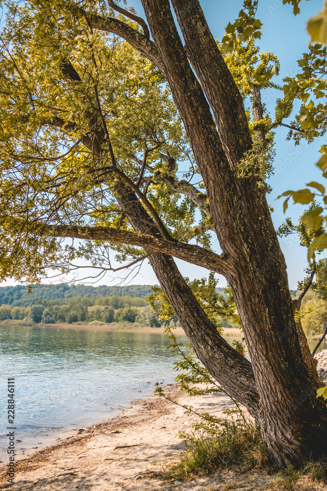 Beautiful view on the Mainau island - Bodensee - Bavaria - Germany Beautiful view on the Mainau island - Bodensee - Bavaria - Germany