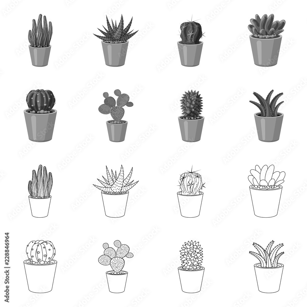 Vector design of cactus and pot symbol. Set of cactus and cacti stock symbol for web. Vector design of cactus and pot symbol. Set of cactus and cacti stock symbol for web.