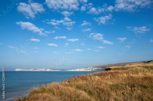 Isle of Wight Starcross England. United Kingdom. Coast Beach photo