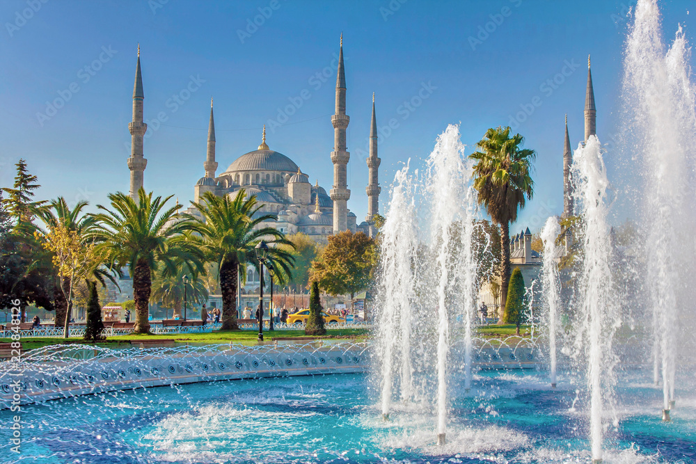 Naklejka premium Blue mosque - Sultanahmet Camii, landmark in Istanbul