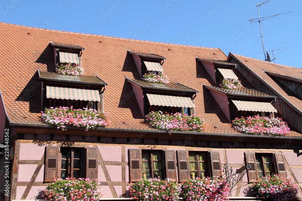 historische Altstadt von Ribeauvillé-Riquewihr im Elsass 18