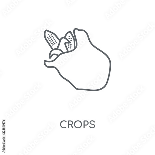 crops icon