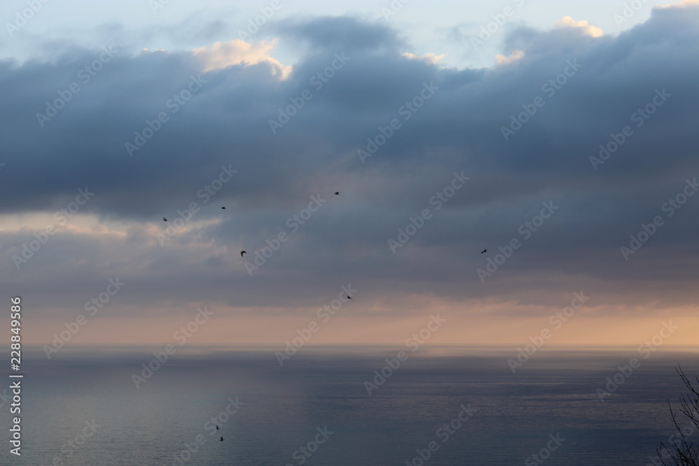 Crepuscolo con uccelli in volo sul mare e nuvole