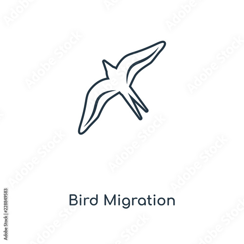 bird migration icon vector