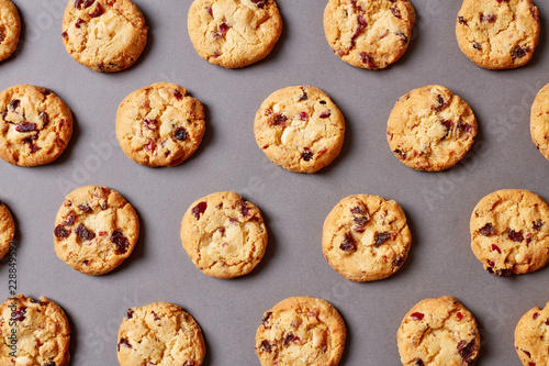 Fresh chocolate chip cookies pattern on grey background photo