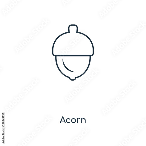 acorn icon vector