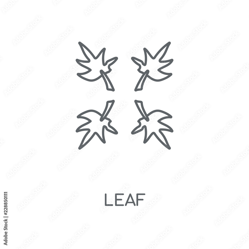 leaf icon leaf icon