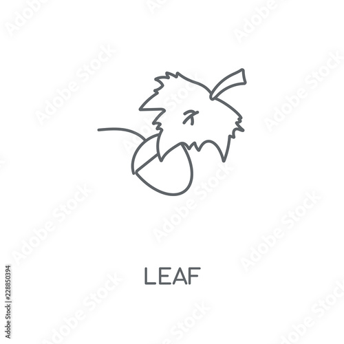 leaf icon