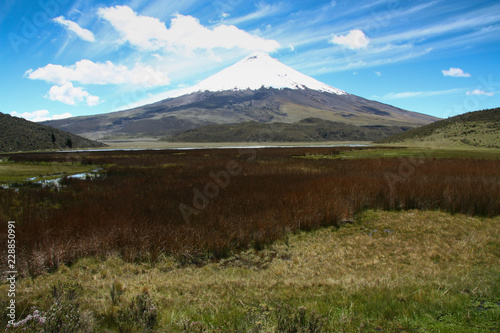 The Cotopaxi volcano with a clear blue sky  Ecuador.