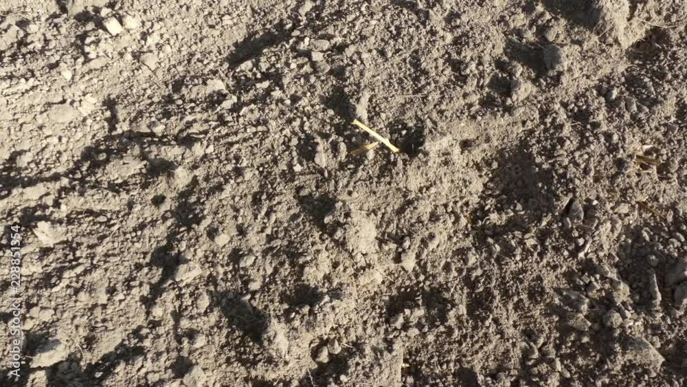 View of the empty plowed fields. Plowed field from a height of flight. View of the empty plowed fields. Plowed field from a height of flight.