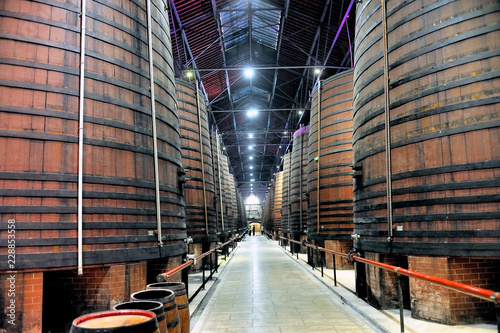 Interior of a large industrial wine cellar with huge oak barrels. photo