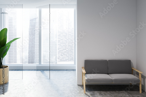 White living room with gray sofa