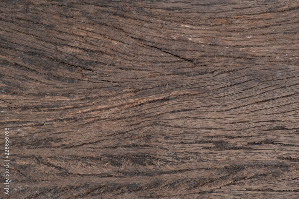 Fototapeta premium wood texture. background
