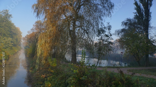 Fototapeta Naklejka Na Ścianę i Meble -  Jesień. Rzeczka w pobliżu stawu 