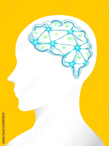Man Psychedelic Mushroom Brain Connectivity