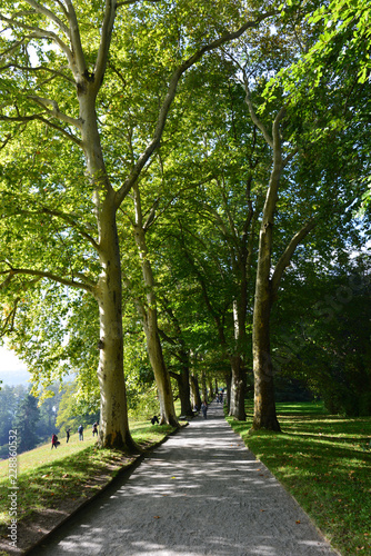 Insel Mainau im Bodensee  photo