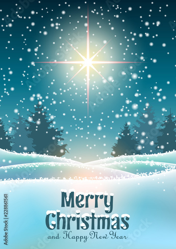 Christmas theme, winter forest with big star