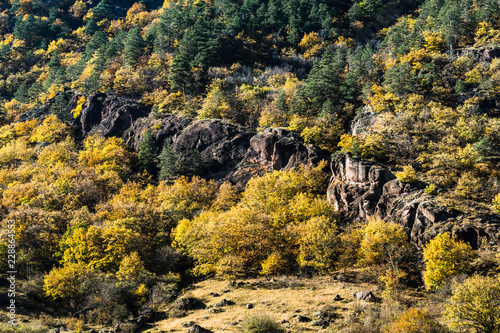 Rocky autumn landscape with colorful forest